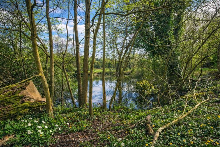Terrain de loisir avec étang – MONTCORNET (02)